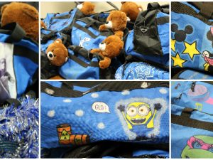 Foster Care Sweet Cases