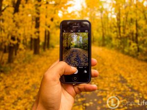 Your Fall Is Going To Be Amazing